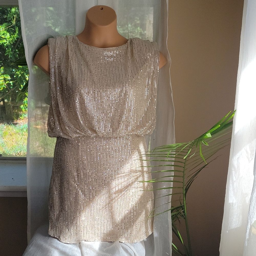 Gold sequin dress new with tags. Size large